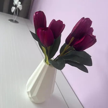 Bed & Breakfast La Dea Bendata