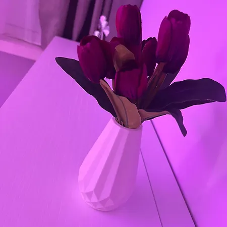 La Dea Bendata Bed & Breakfast Foggia